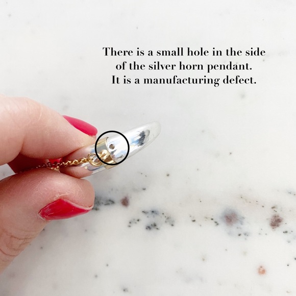 🆑 "Kinsey" Necklace || Silver & Gold Horn Pendant - Picture 13 of 16